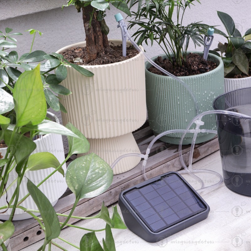 Solar Powered Automatic Wateri - Automatic Watering ulasan dan harga