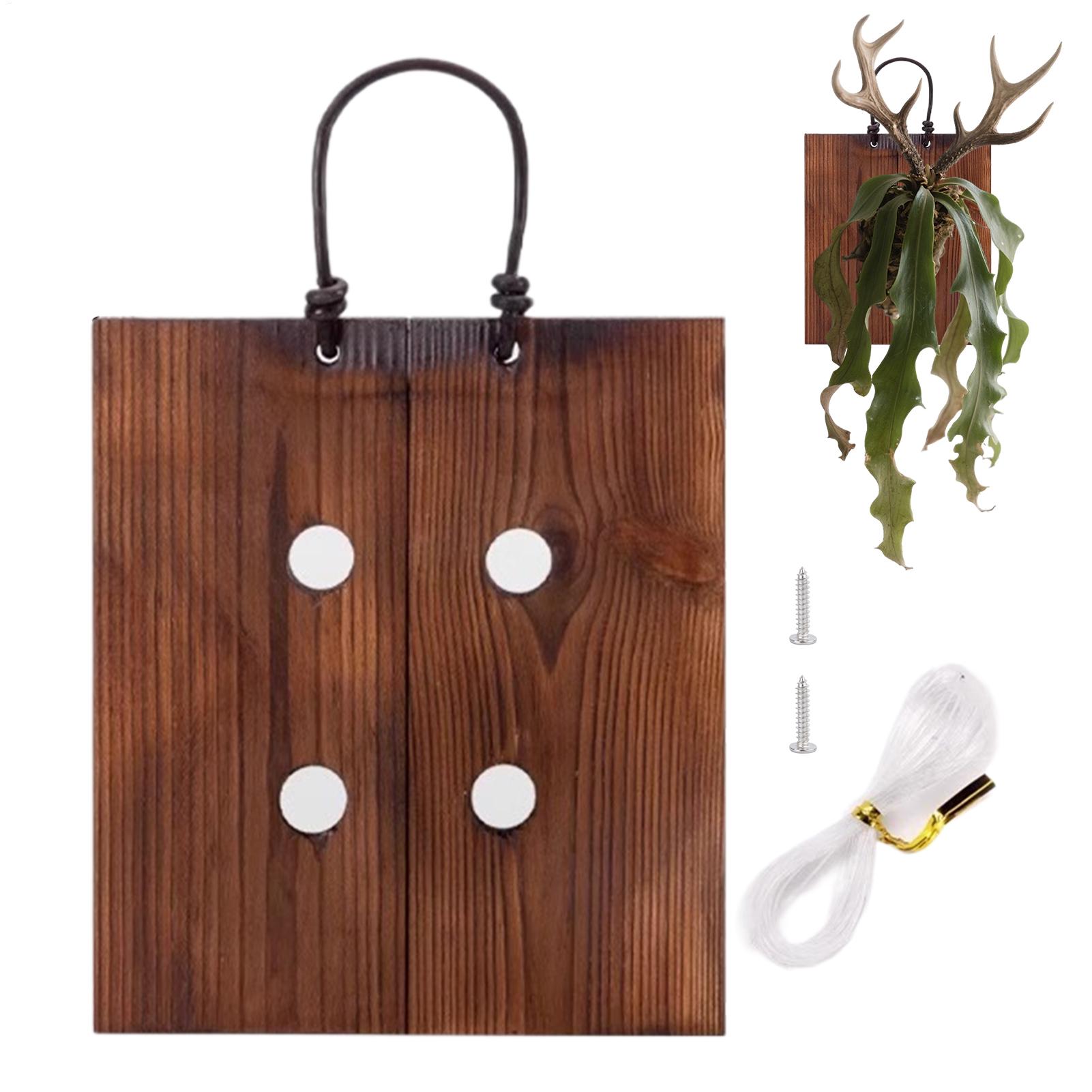 Staghorn Fern Wall Mount Board - Indoor Garden Kit ulasan dan harga