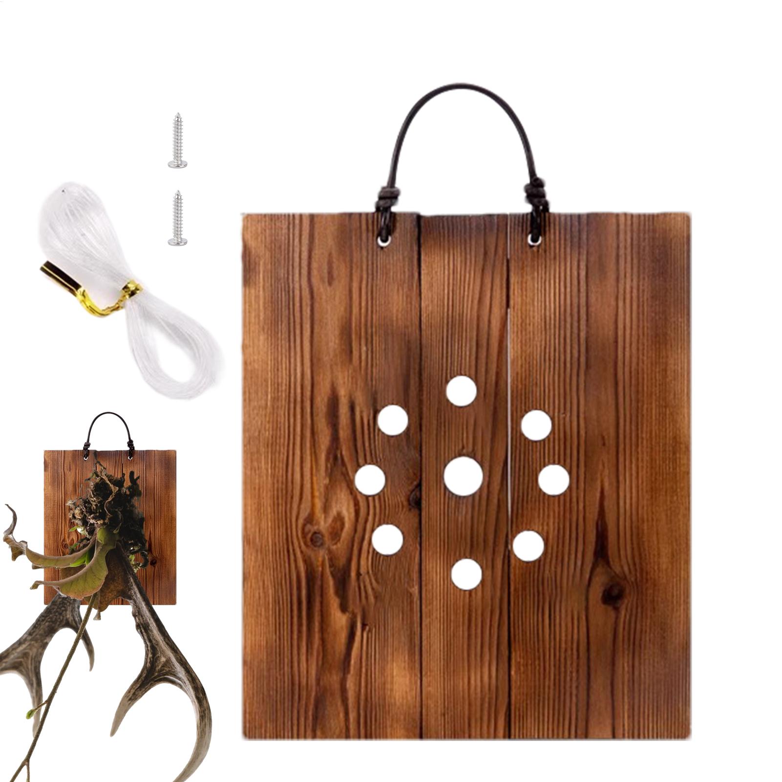 Staghorn Fern Wall Mount Board - Indoor Garden Kit ulasan dan harga