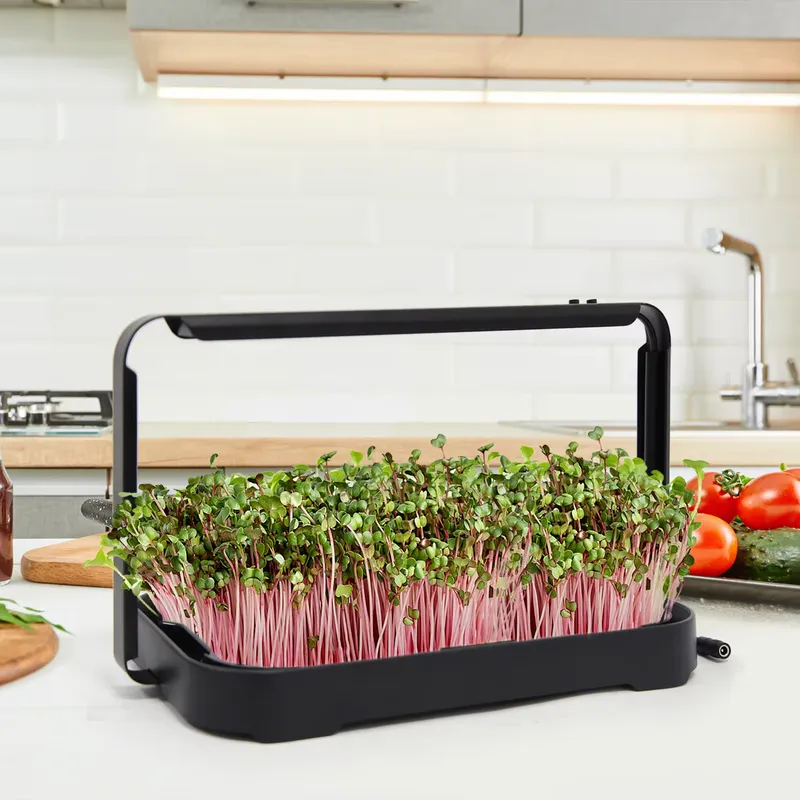 Hydroponic Tray Indoor Microgr - Indoor Garden Kit ulasan dan harga