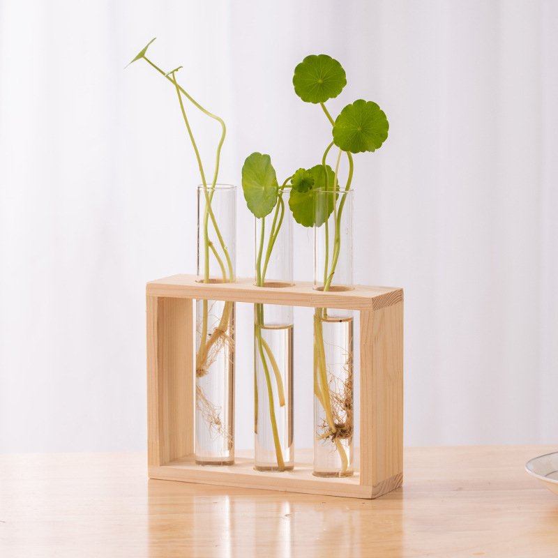 Hydroponic Plants Container wi - Hydroponic Grow Pod ulasan dan harga