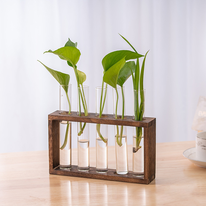 Hydroponic Plants Container wi - Hydroponic Grow Pod ulasan dan harga