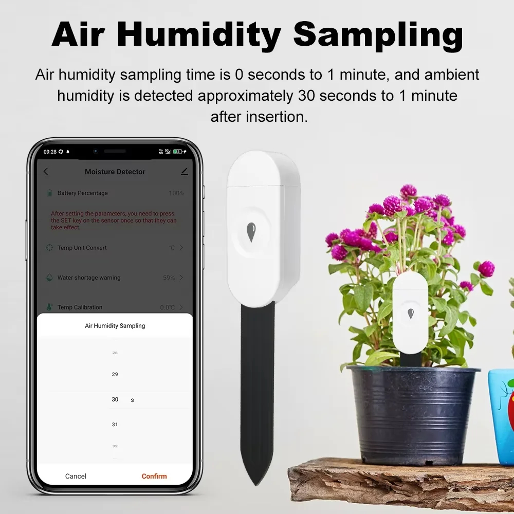 Zigbee Temperature Humidity Mo - Garden Camera ulasan dan harga