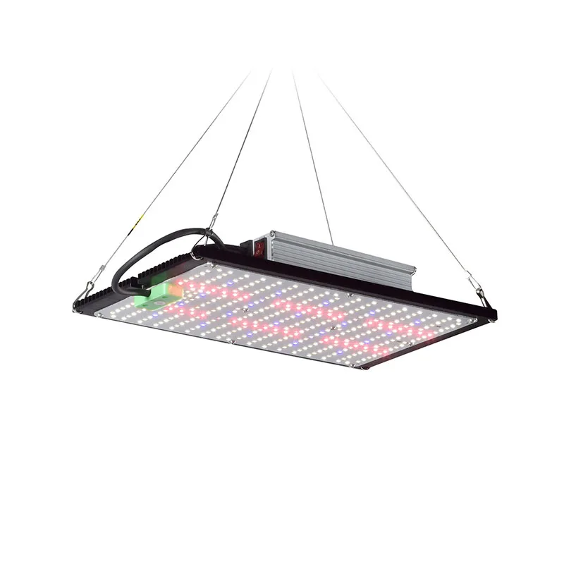 LED Quantum‑Board Grow Light F - Grow Light Led ulasan dan harga