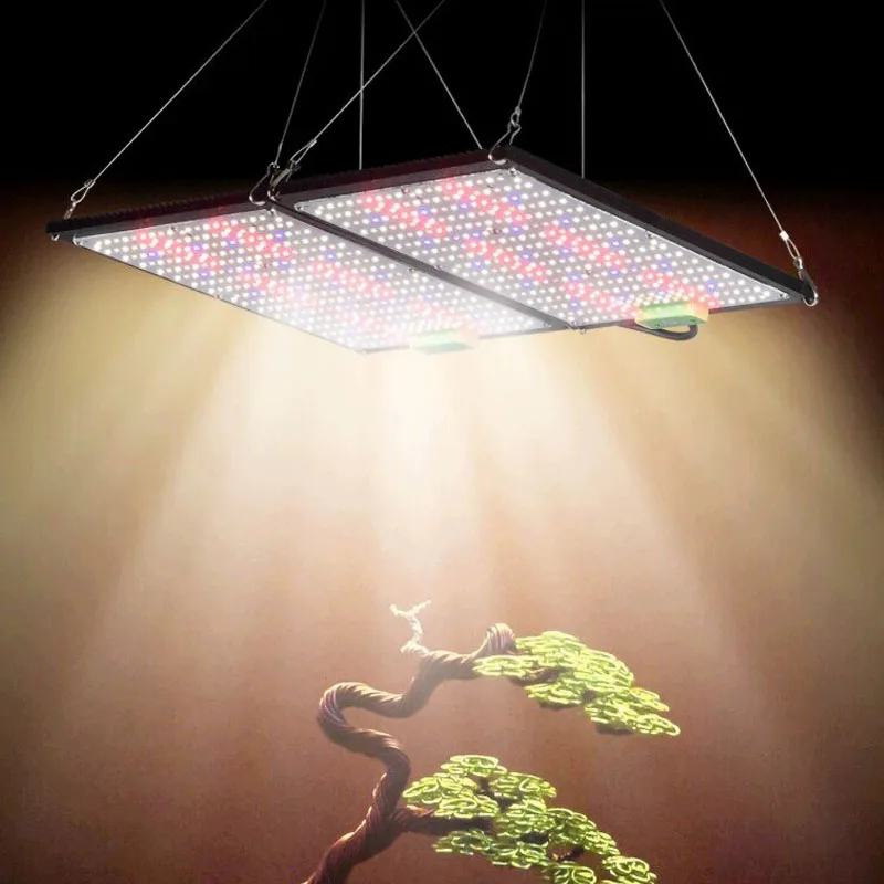 LED Quantum‑Board Grow Light F - Grow Light Led ulasan dan harga